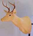 whitetail deer taxidermy form sculpture prototype